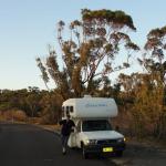 Cape Conran Coastal Park